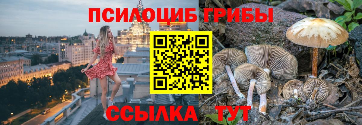Трёхгорный  Галлюциногенные грибы Magic Shrooms  Вход с VPN 