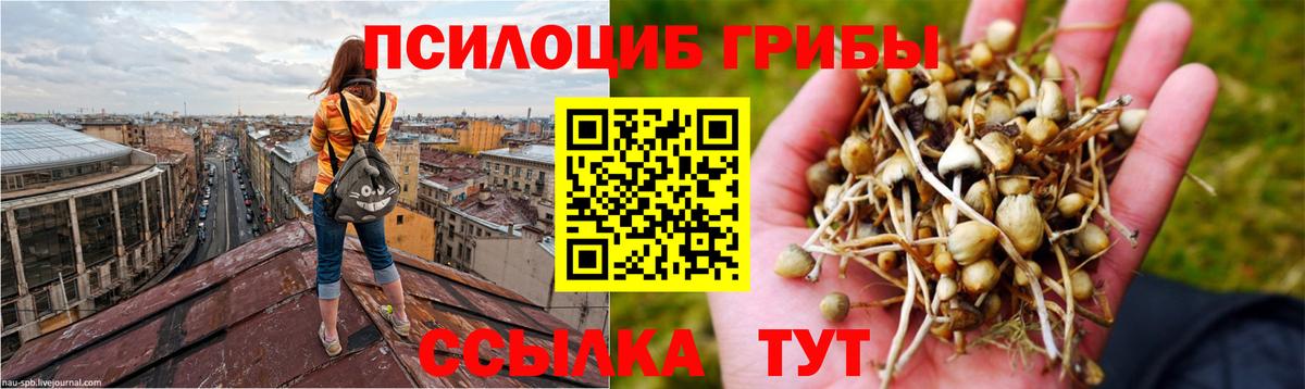 Псилоцибиновые грибы MAGIC MUSHROOMS Трёхгорный